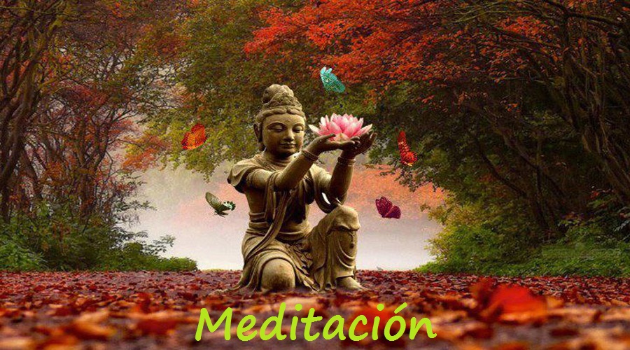meditacion[1]